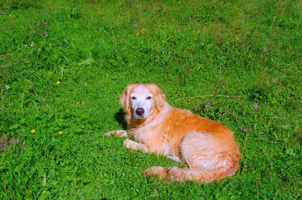 Condolence image of Mami 