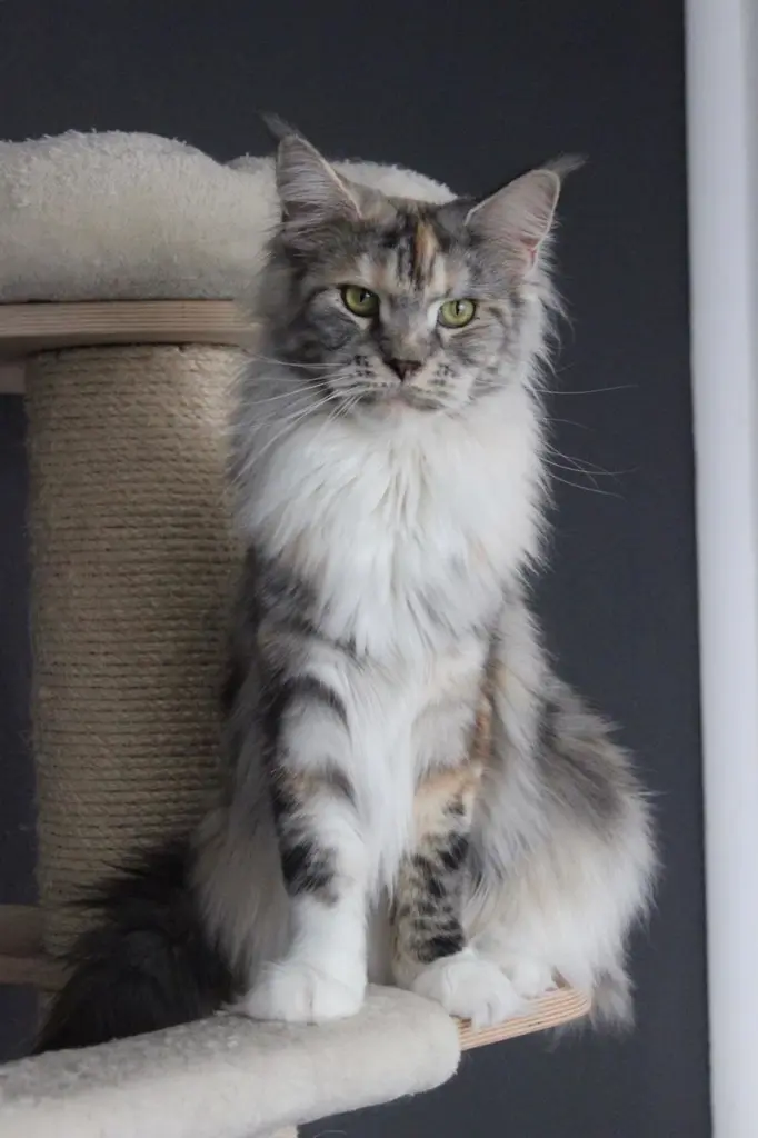 Condolence image of Annemarie