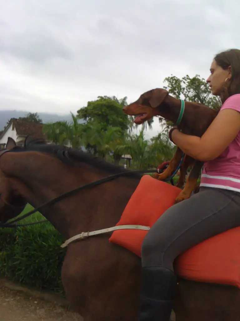 Image from Brauni