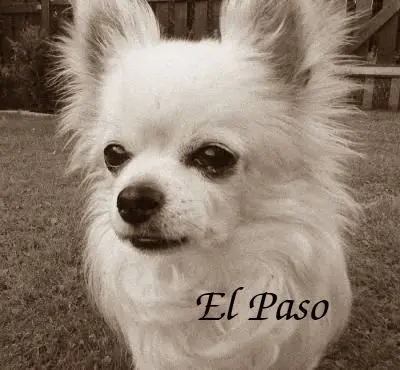 Image from El Paso