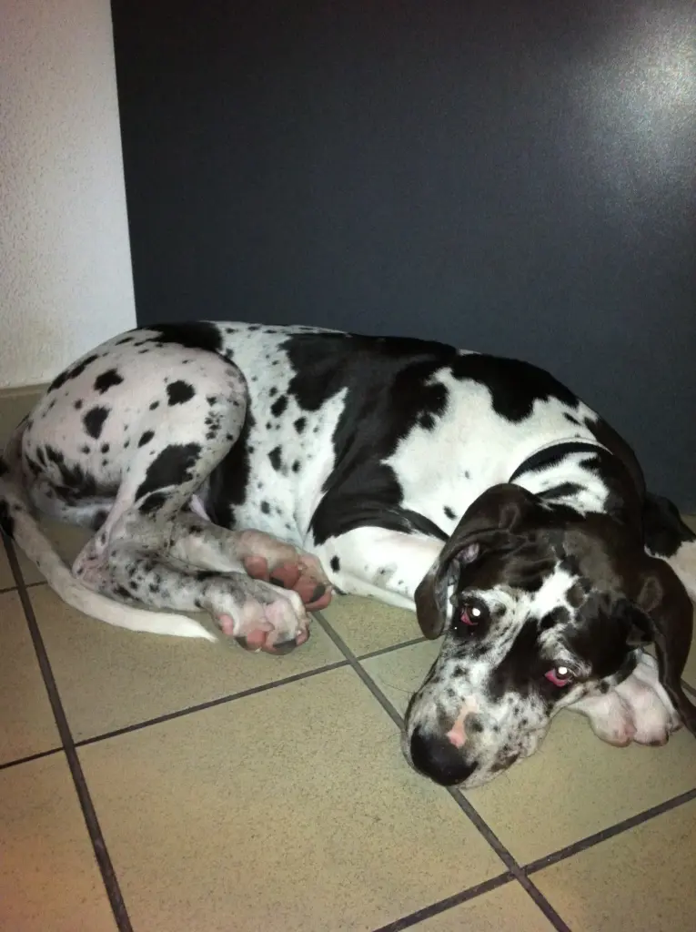 Condolence image of Frank und Edeltraud
