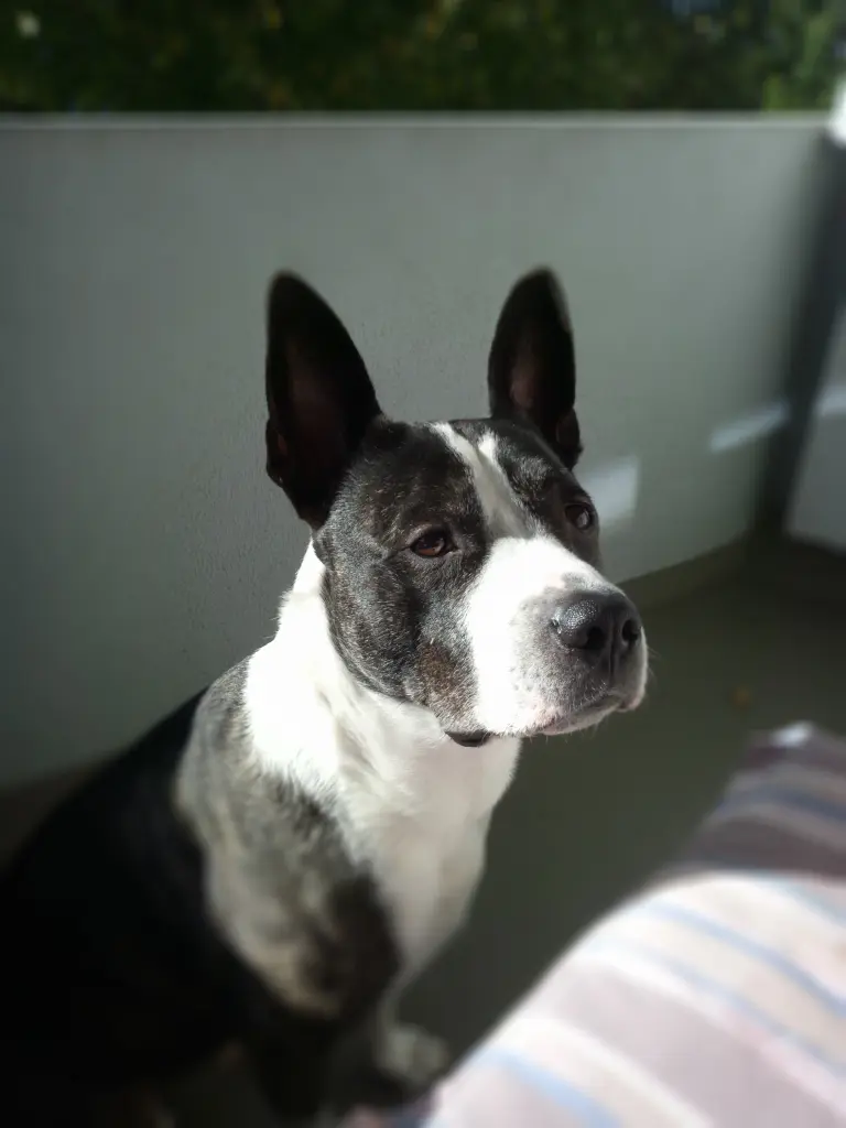Image from Spike