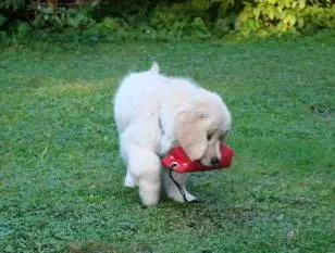 Condolence image of Marita mit Cookie im Herzen