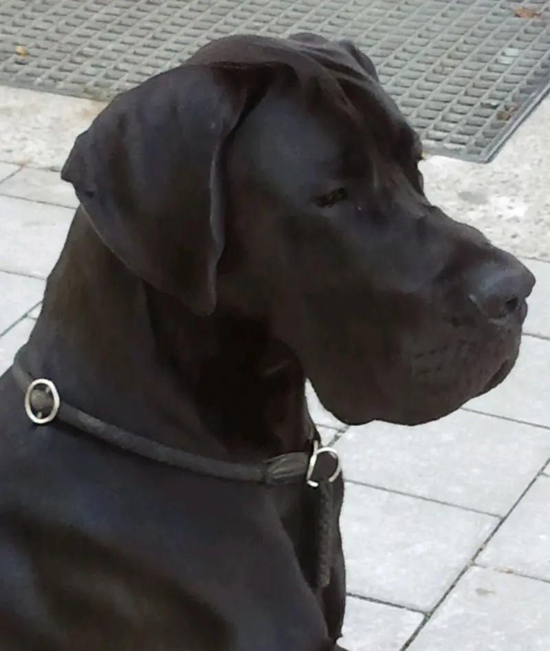 Condolence image of Reinald