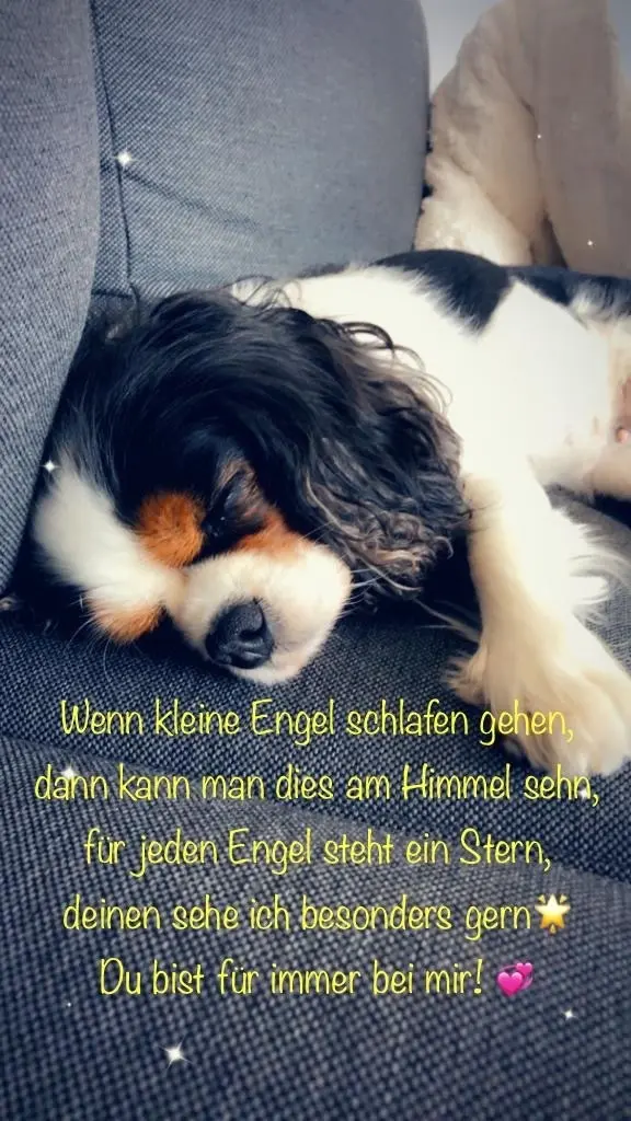 Condolence image of Unbekannt