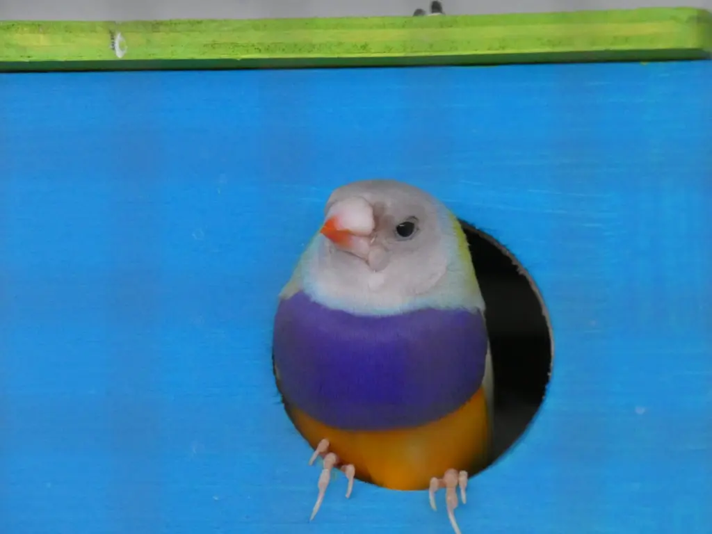 Andachtsbild von Ina