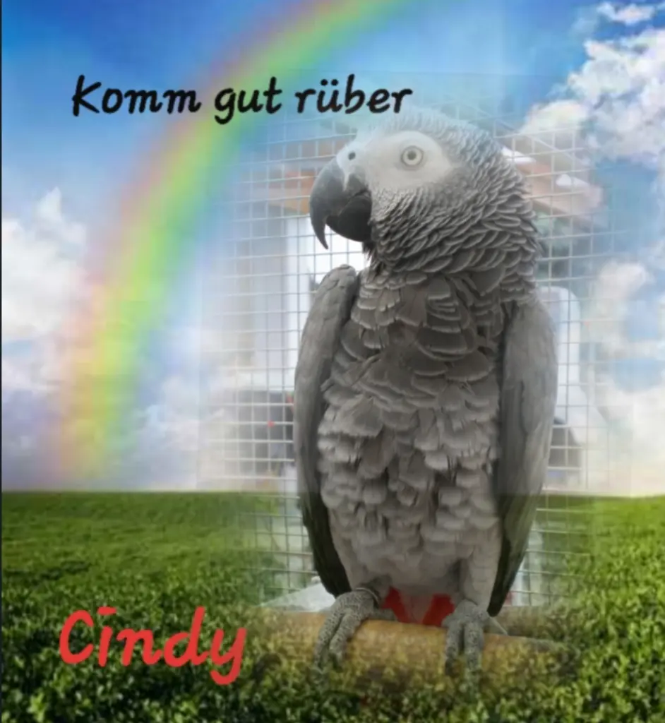 Bild von Cindy + Coco
