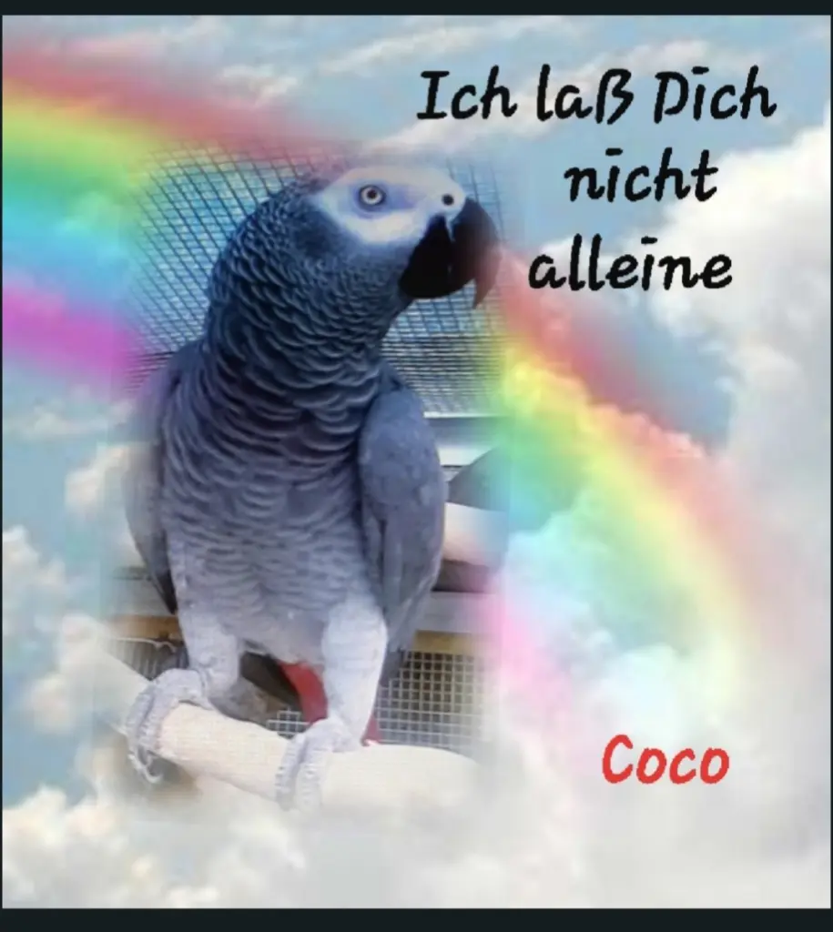 Bild von Cindy + Coco