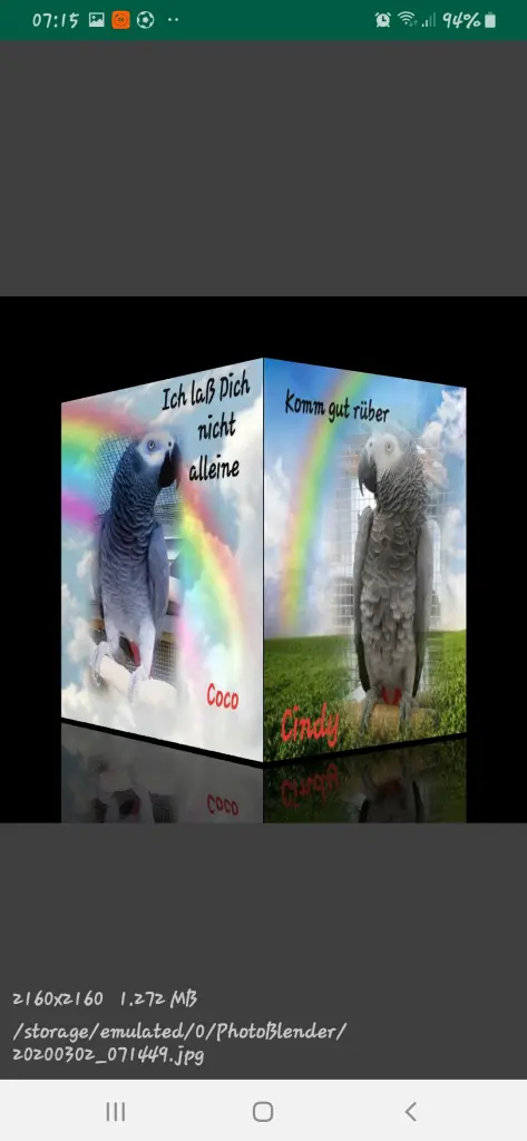 Bild von Cindy + Coco