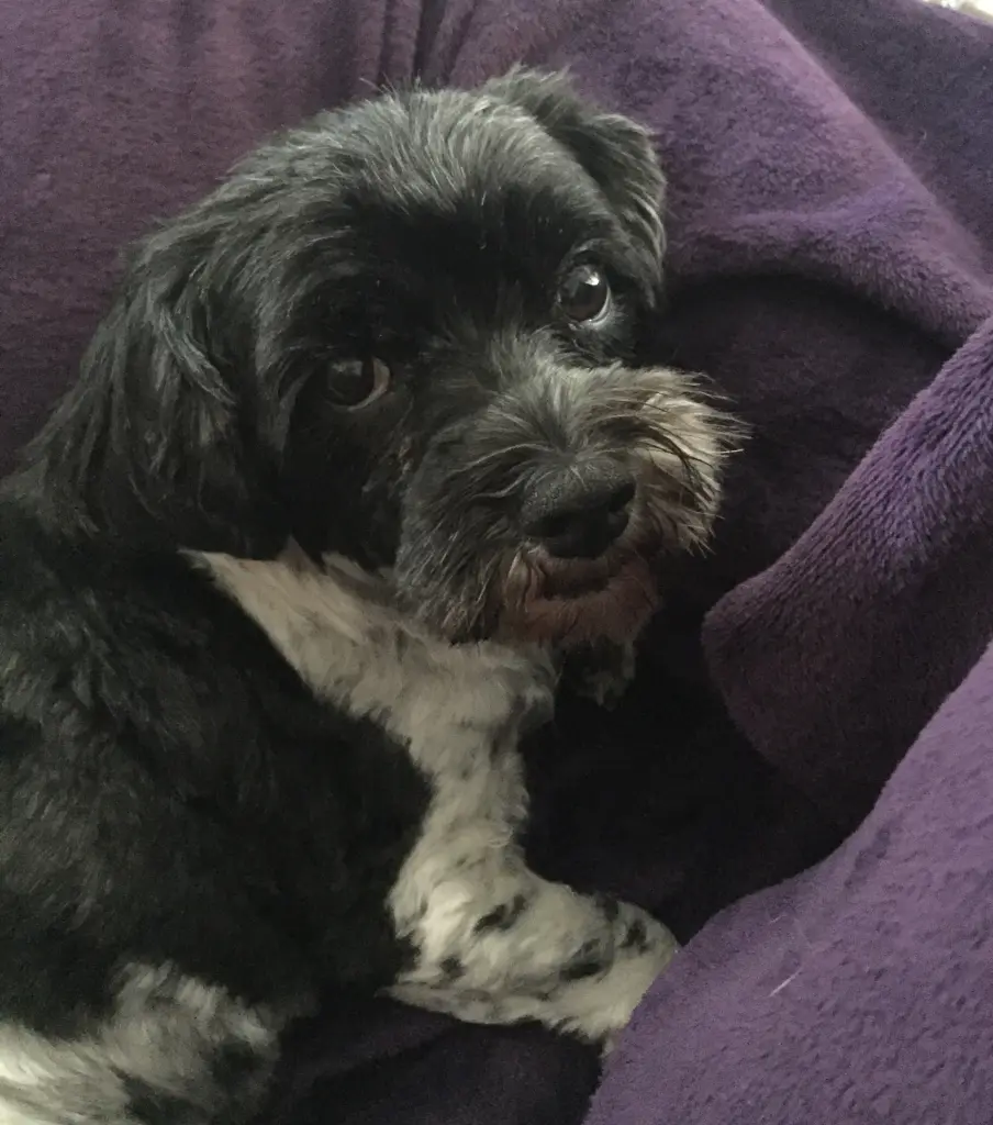 Condolence image of Annika