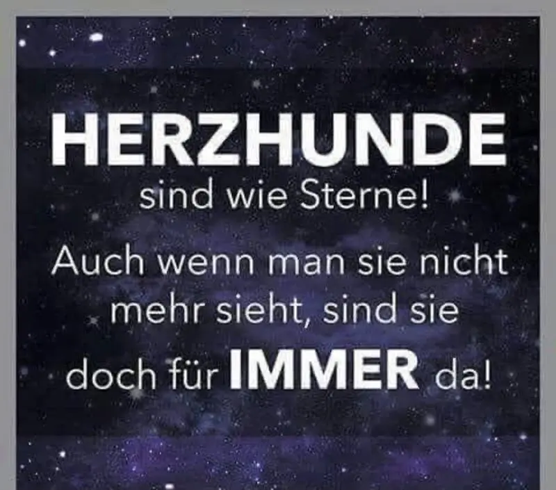 Condolence image of Heike Frauchen