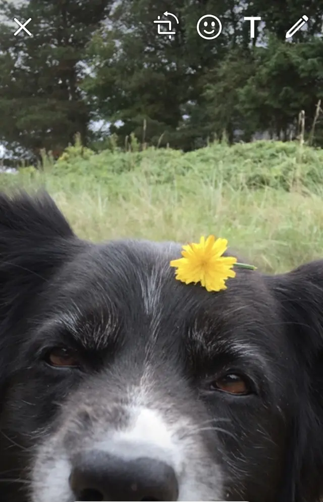 Condolence image of Heike