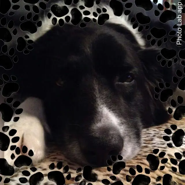 Condolence image of Heike