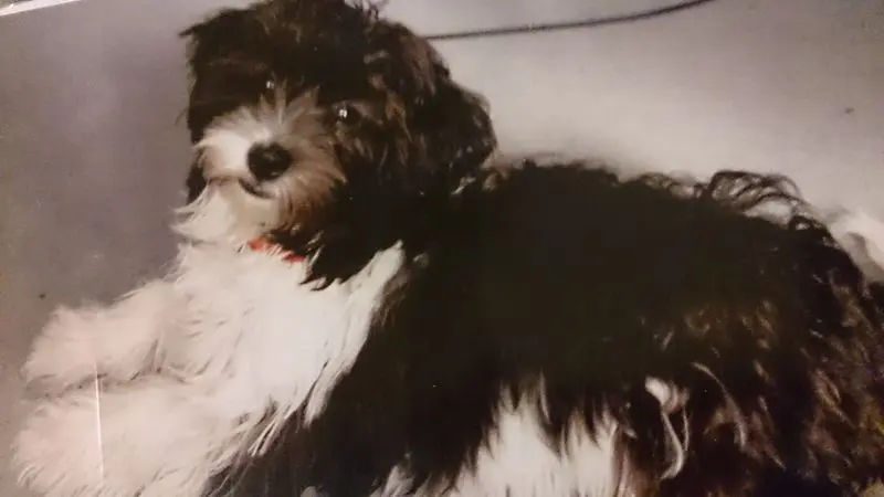 Condolence image of Sigrid