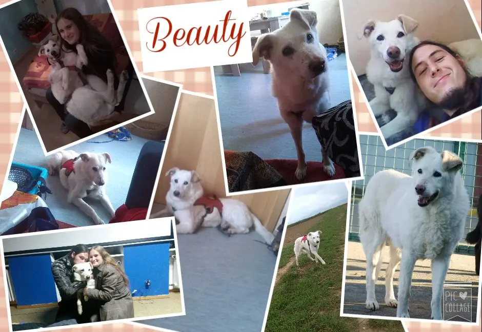Image from Beauty
