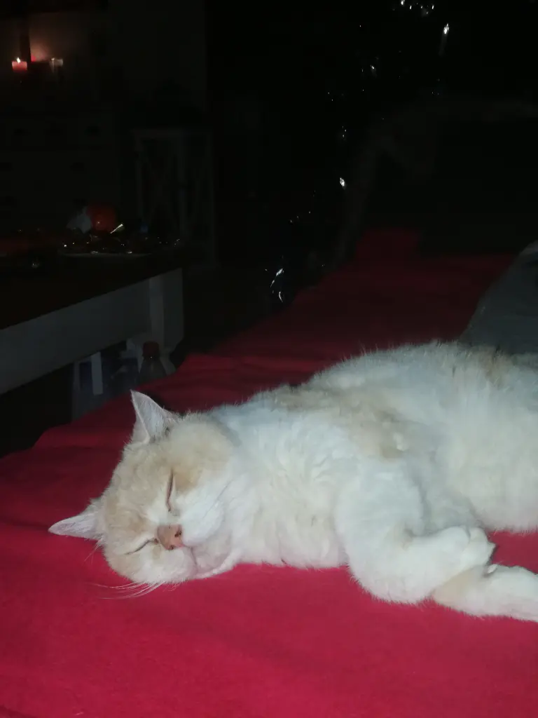 Image from Brutus