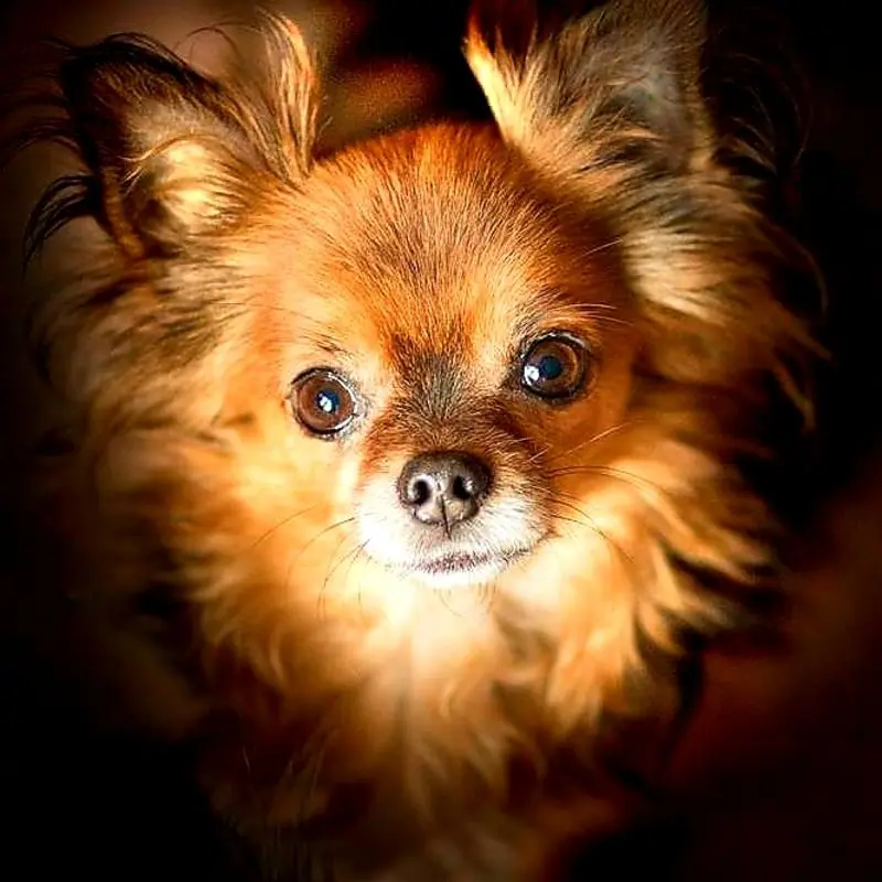 Condolence image of Saskia
