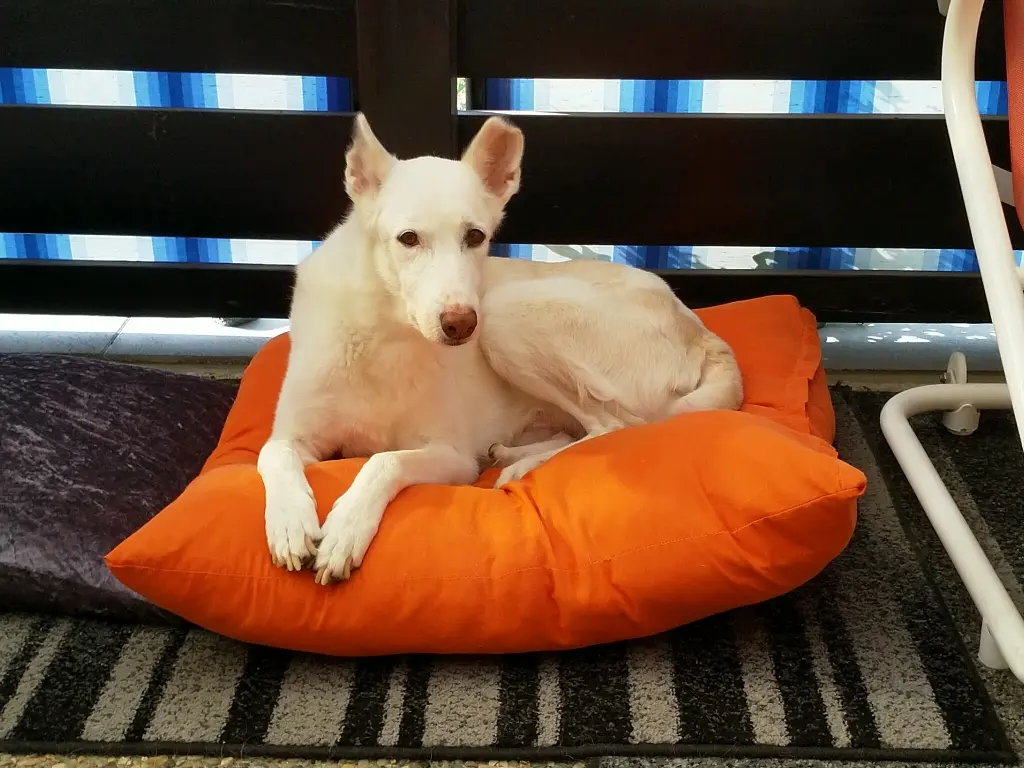 Bild von Marlo