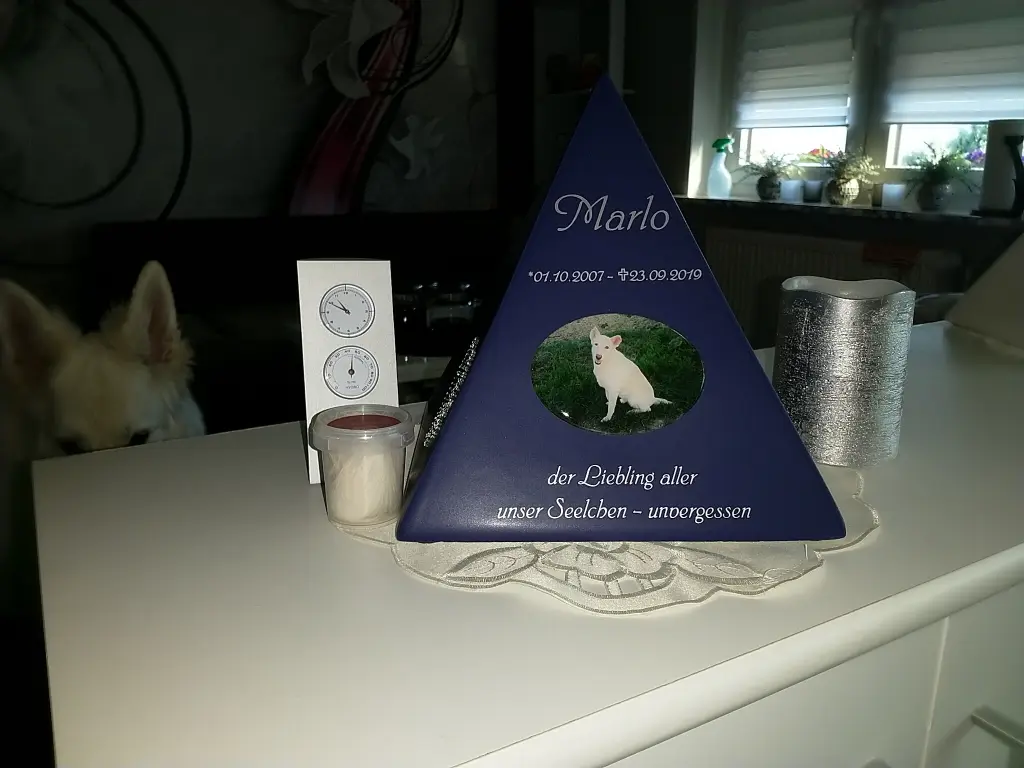 Bild von Marlo