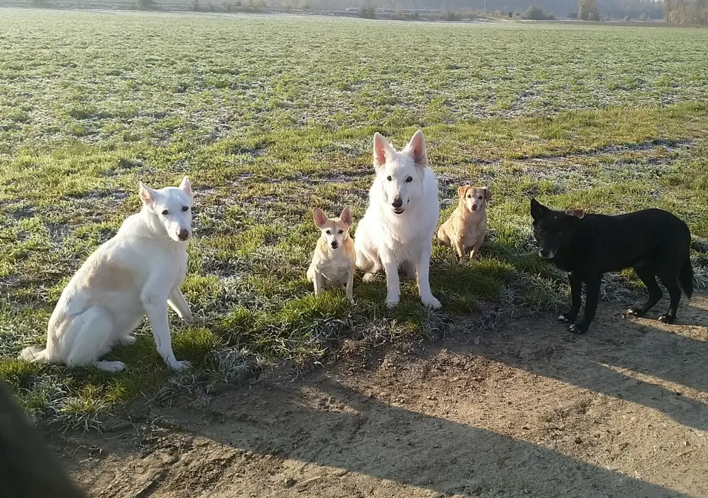 Bild von Marlo