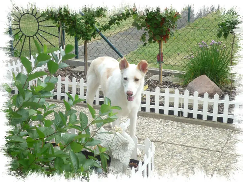 Bild von Marlo
