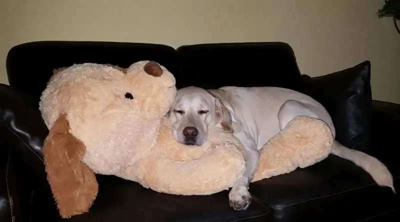Condolence image of Andrea