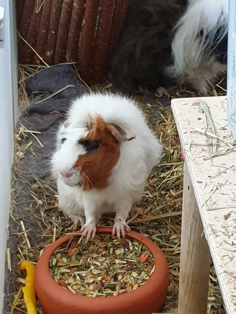 Image from Krümelbert