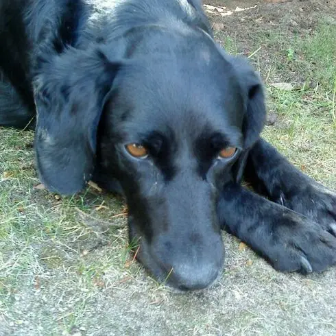 Andachtsbild von Inge