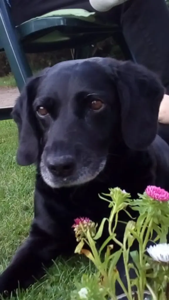 Andachtsbild von Inge