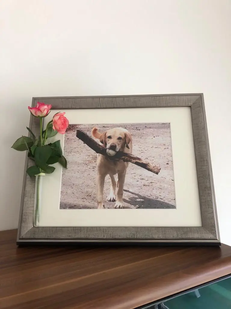 Image from Balou