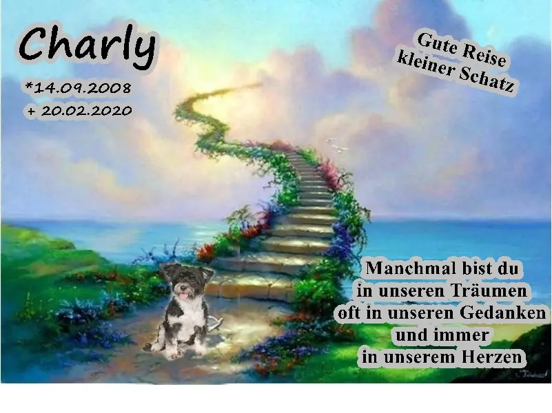 Image from Charly