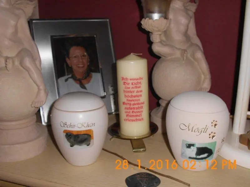 Condolence image of Hans-Jürgen Böhnke