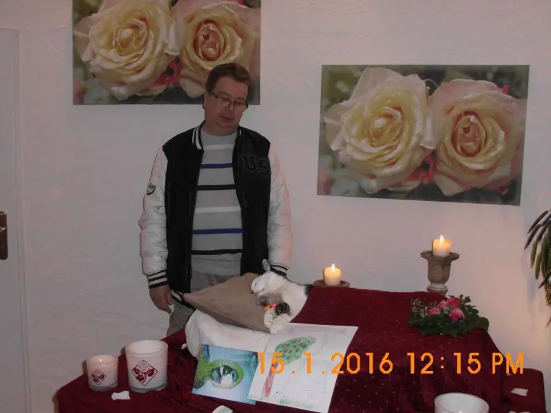 Image from Mogli