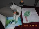 Image from Mogli