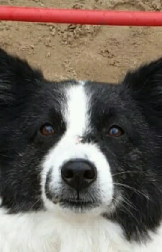 Andachtsbild von Karin.???? 