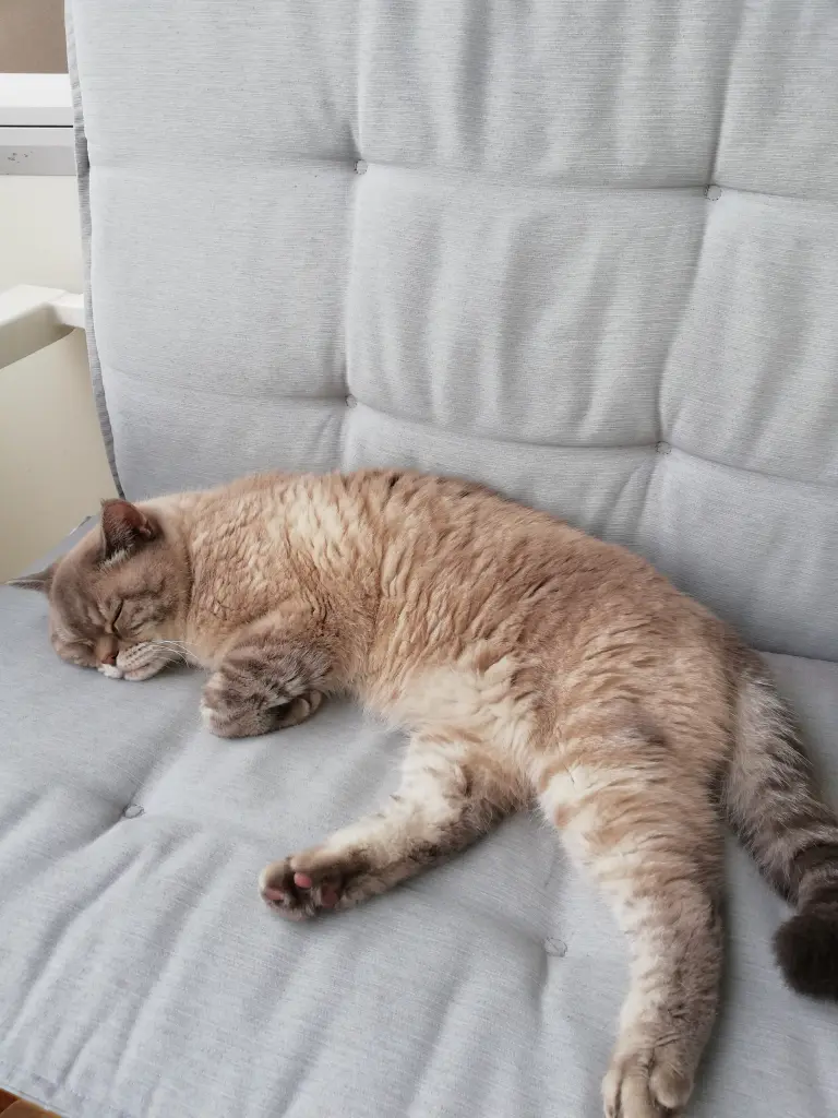 Andachtsbild von Mario