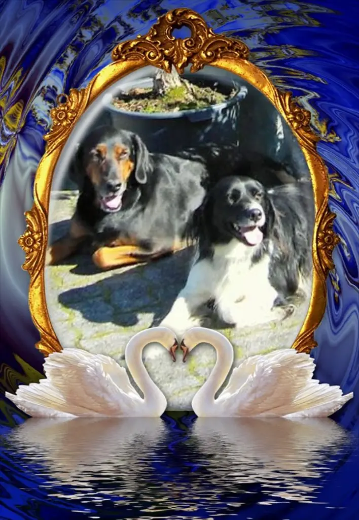 Andachtsbild von Brigitte mit Nelly, Benny und Axel im Herzen