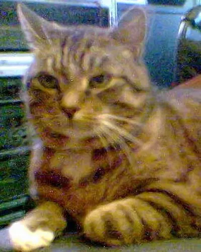 Bild von Unseren Johann