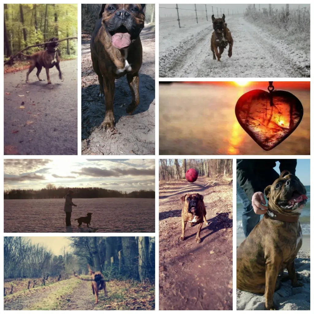 Image from Tyra