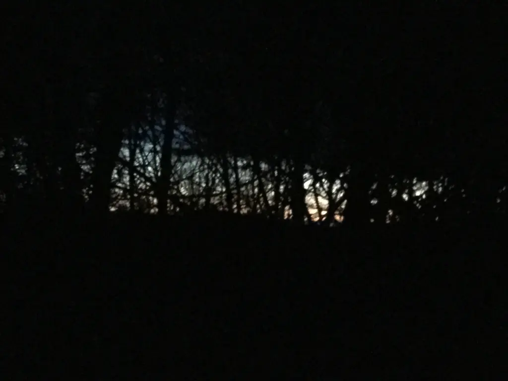 Image from Casper