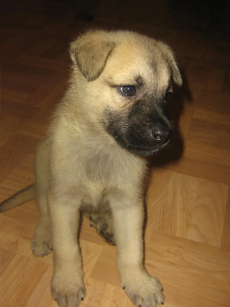 Image from Faro