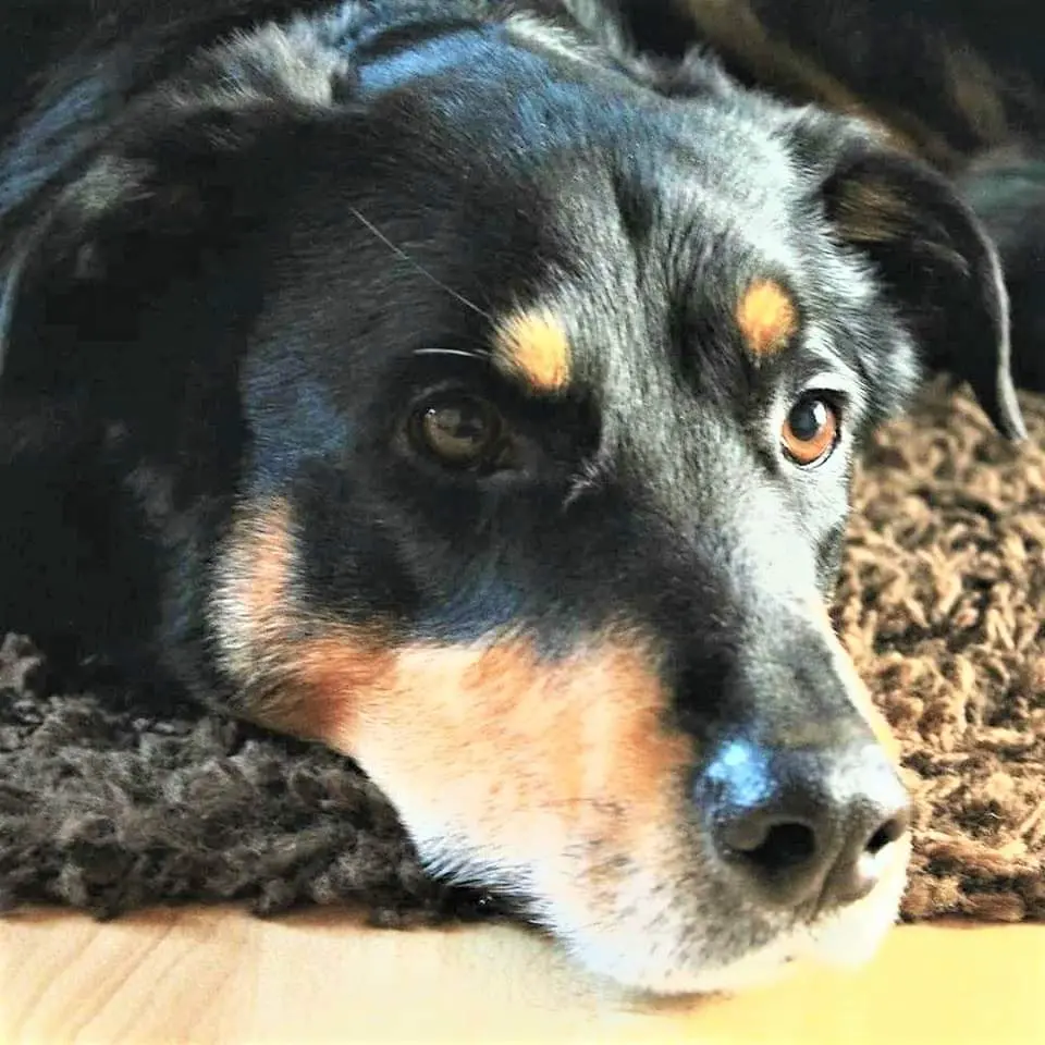Condolence image of Manuela