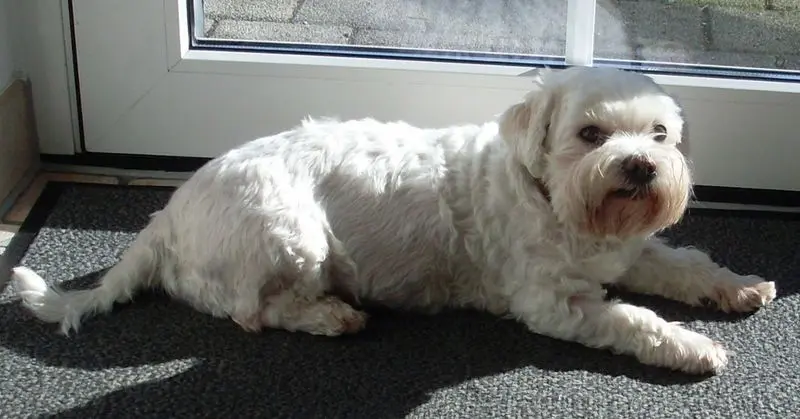 Andachtsbild von Günter mit Hanna im Herzen