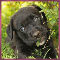 Lucy als Baby