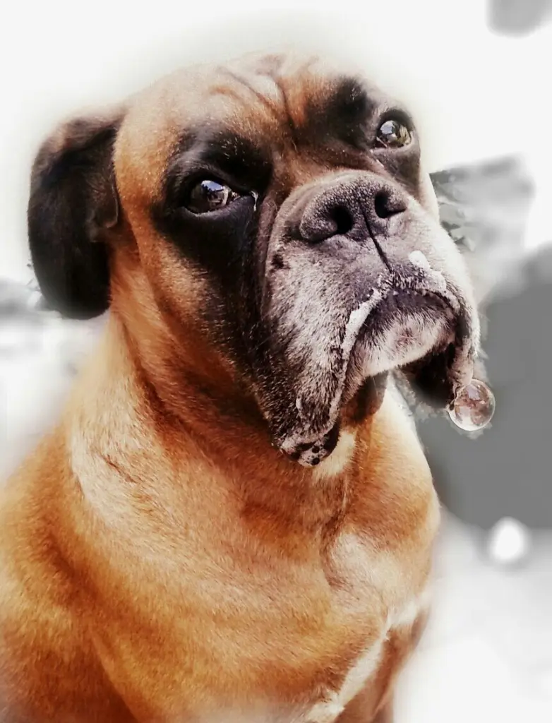 Image from Marlo