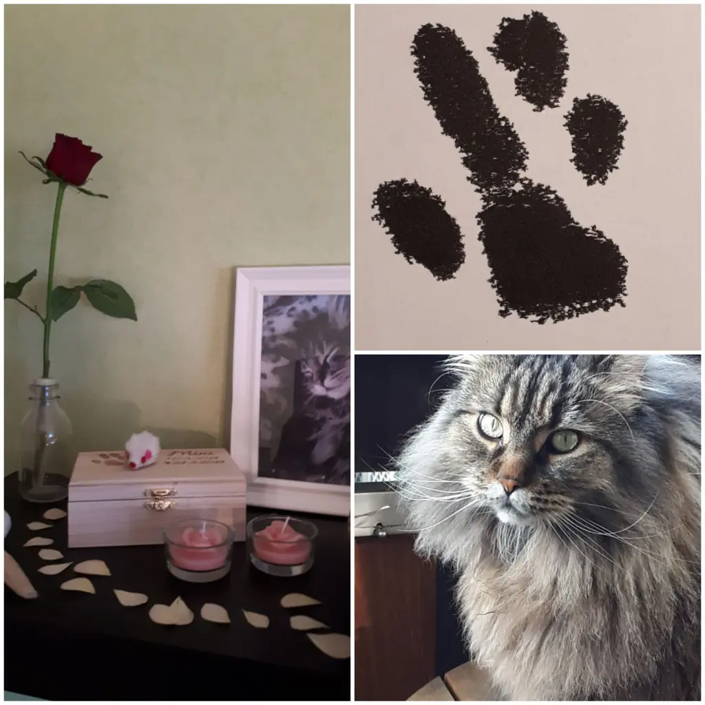 Image from Mini