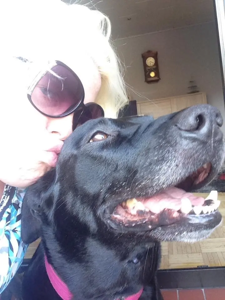 Image from Donna