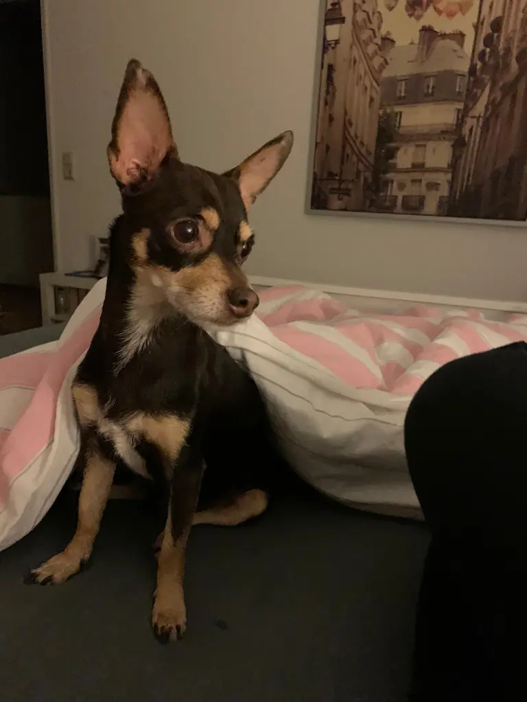 Andachtsbild von Karin