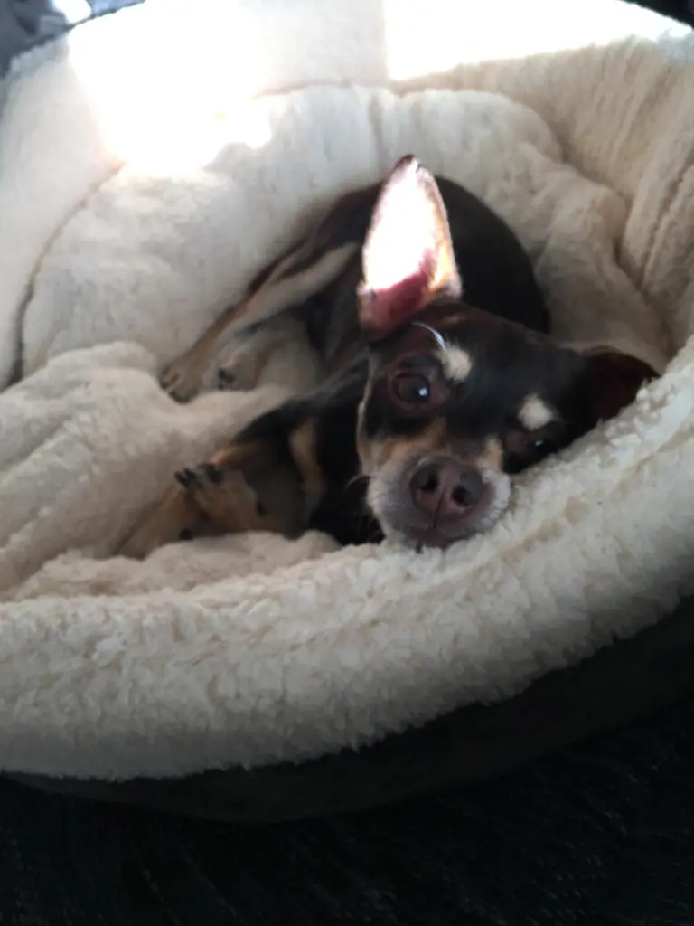 Bild von Armani ❤️