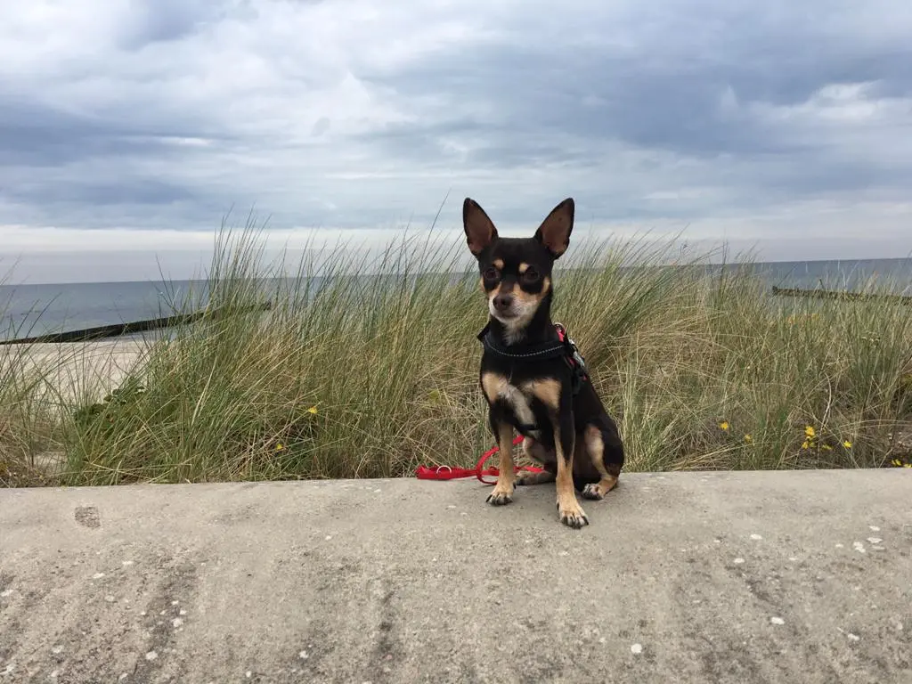 Bild von Armani ❤️